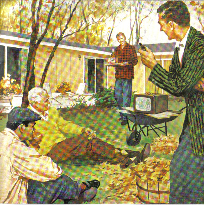 TV in the Backyard